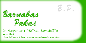 barnabas pakai business card